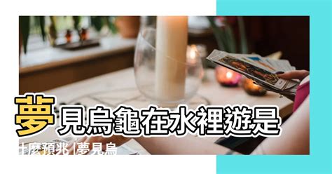 夢見ㄨ龜|發夢見龜